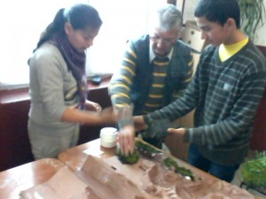 IMG0258A