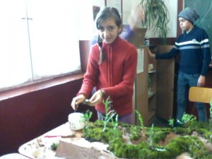 IMG0276A