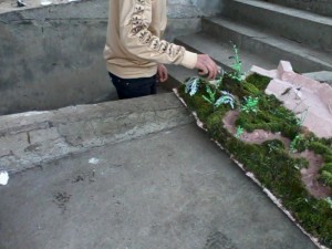 IMG0323A