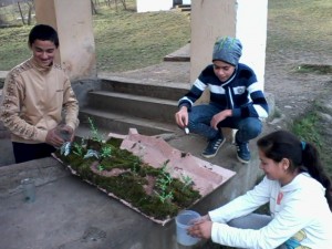 IMG0325A