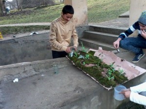 IMG0326A