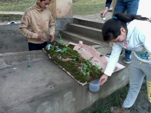 IMG0327A