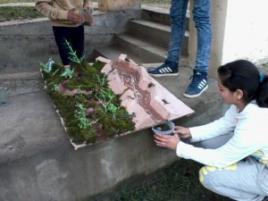 IMG0331A