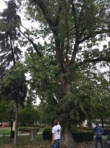 IMG 20170922 143744
